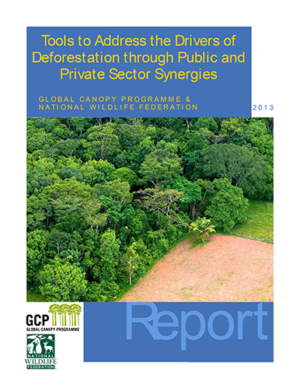 Tools to address the drivers of deforestation (April, 2013)