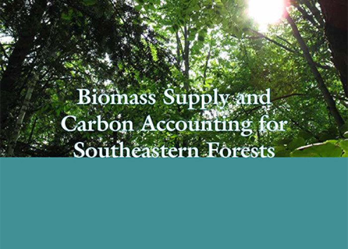 Biomass Supply & Carbon Accounting for Southeastern Forests, 2012