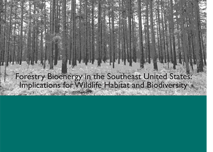 Forestry Bioenergy in the Southeast United States, 2013