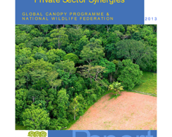 Tools to address the drivers of deforestation (April, 2013)