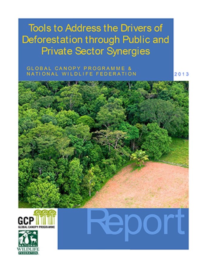 Tools to address the drivers of deforestation (April, 2013)