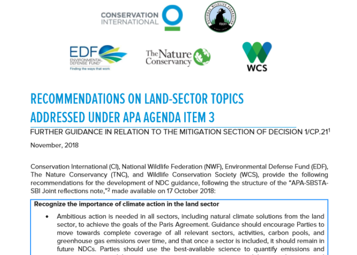 COP 24 Recommendations for Land Sector in NDC Guidance