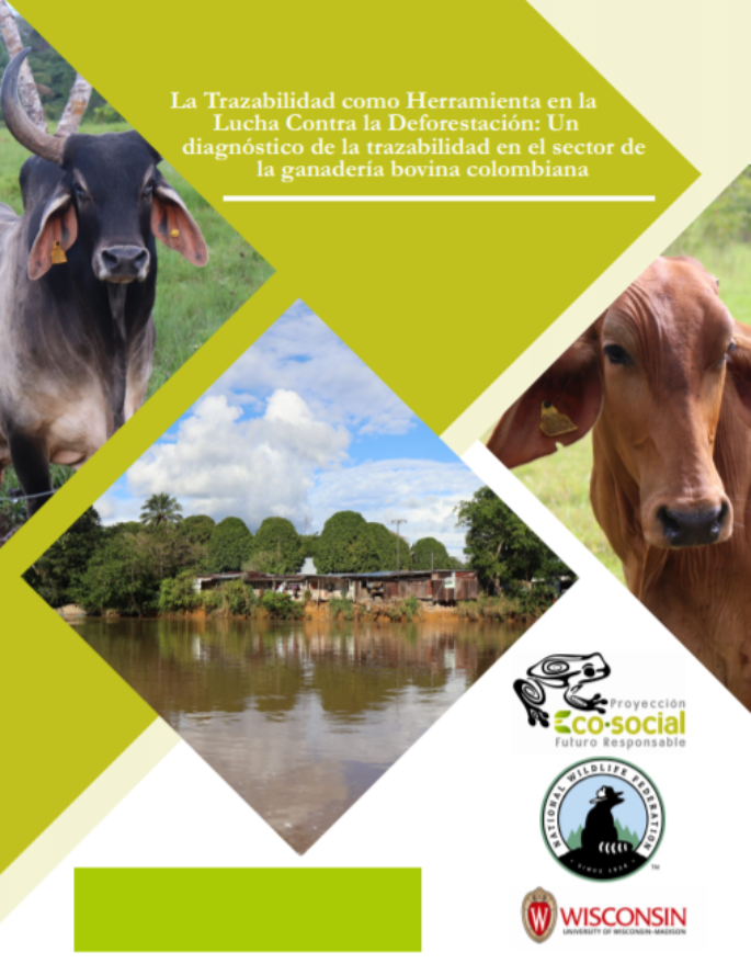 La Trazabilidad como Herramienta en la Lucha Contra la Deforestación: Un diagnóstico de la trazabilidad en el sector de la ganadería bovina colombiana