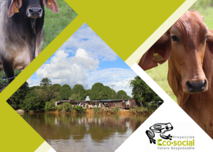 La Trazabilidad como Herramienta en la Lucha Contra la Deforestación: Un diagnóstico de la trazabilidad en el sector de la ganadería bovina colombiana