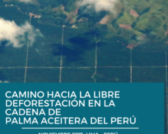 Caminho Hacia la Libre Deforestación en la Cadena de Palma Aceitera del Perú