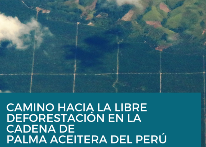 Caminho Hacia la Libre Deforestación en la Cadena de Palma Aceitera del Perú